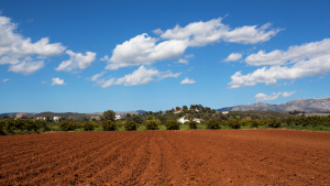 Foto terreno agricolo