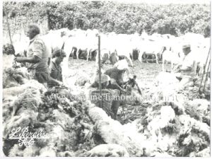 Foto storiche anni 40' e 50'