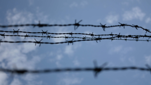 27_gennaio giornata memoria